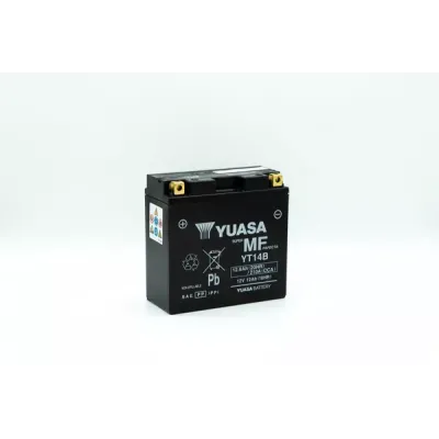 Maintenance-Free Battery