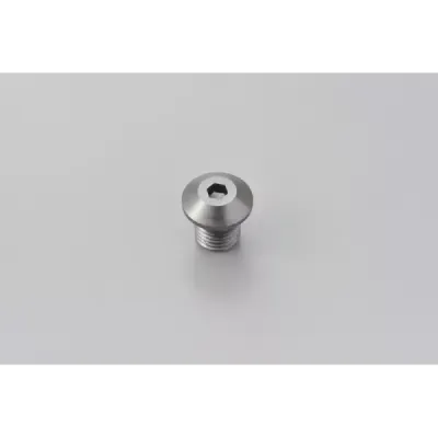 Mirror Plug Bolt
