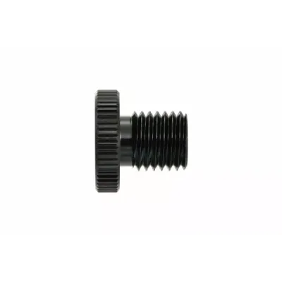 Mirror Plug Bolt