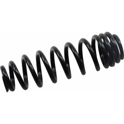Front/Rear Progressive Rate Shock Spring