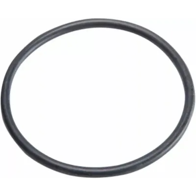 Top Cap O-Ring