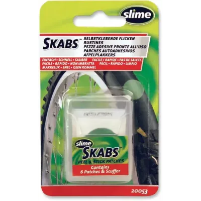 Skabs