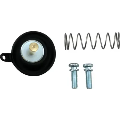 Air Cut-Off Valve Rebuild Kit