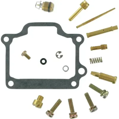 Carburetor Repair Kit