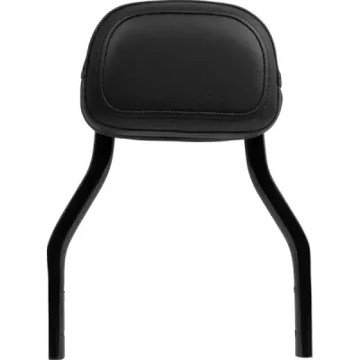 Back Rest