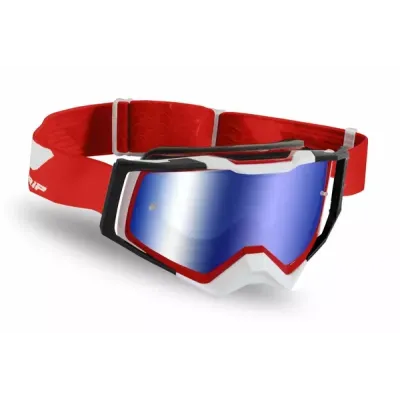 3309 Rapid Goggles