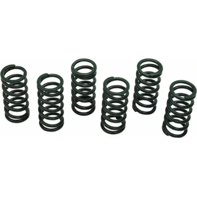 Clutch Spring Kit