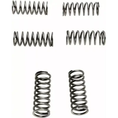 CSK Clutch Spring Set