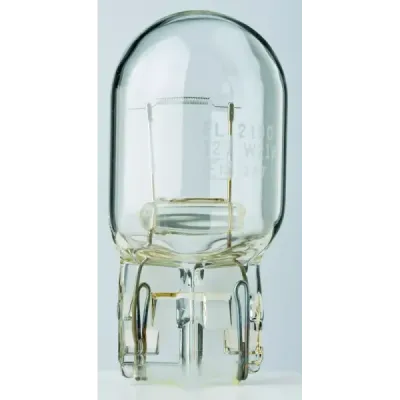 Bulbi cu prism din sticlă cu filament