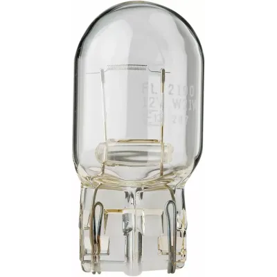 Bulbi cu prism din sticlă cu filament
