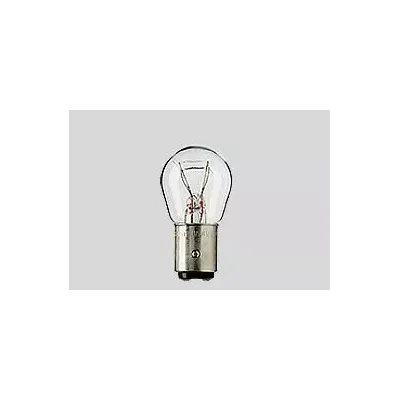 Filament Bulbs
