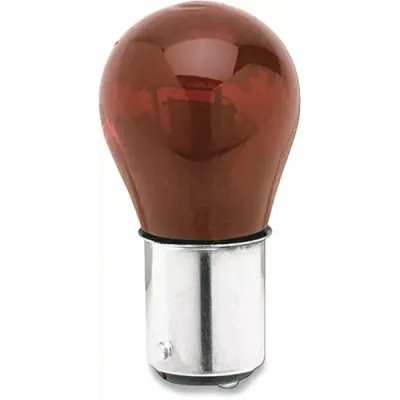 Large Globe Bulb