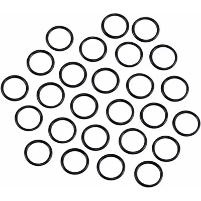 Oil Pump O-Ring