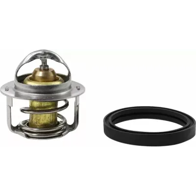 Replacement Thermostat - Polaris