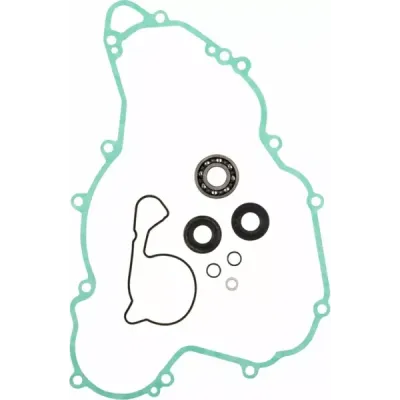 Water Pump Rebuild Kit