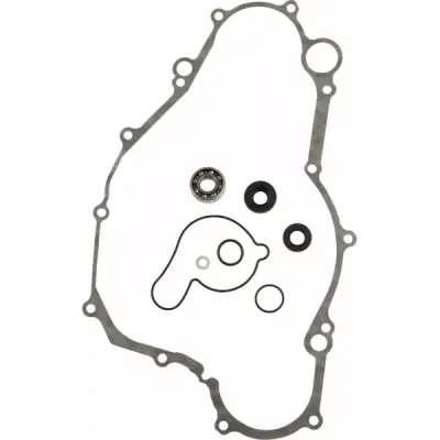 Water Pump Rebuild Kit