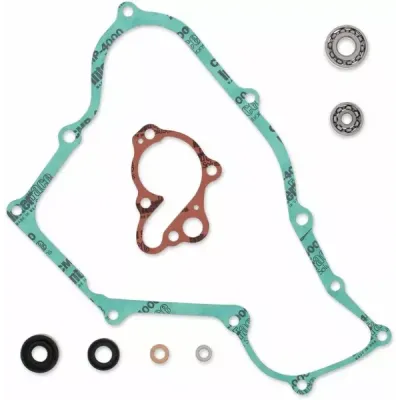Water Pump Rebuild Kit