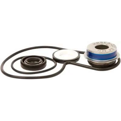 Water Pump Repair Kit