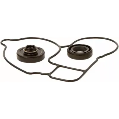 Water Pump Repair Kit