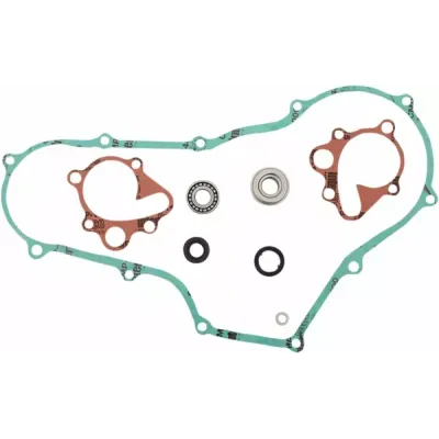 Water Pump Rebuild Kit
