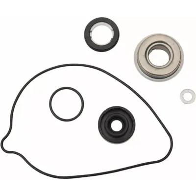 Water Pump Rebuild Kit