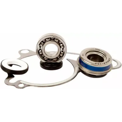 Water Pump Repair Kit