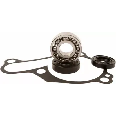 Water Pump Repair Kit
