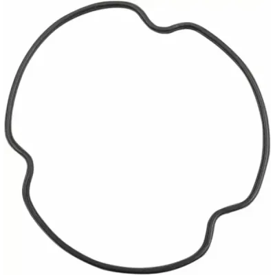 Oil Filter Cover O-Ring