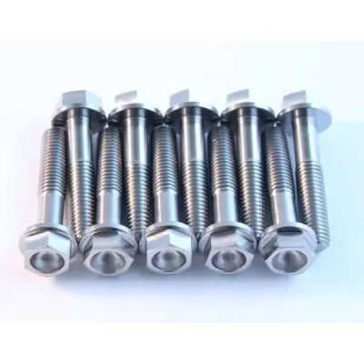 Titanium Screws