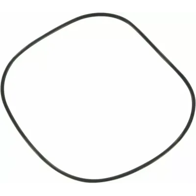 Derby Cover O-Ring