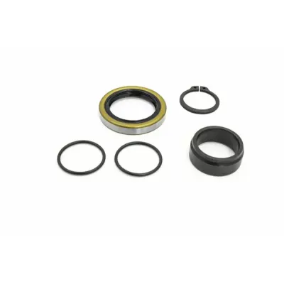 Main Bearing and Seal