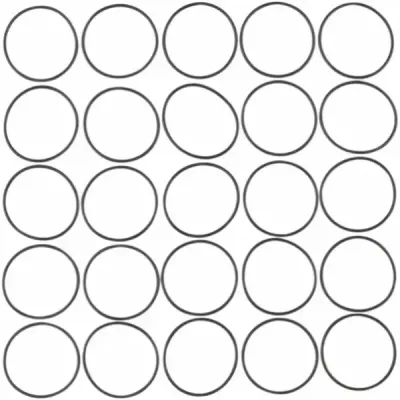 Mainshaft O-Ring