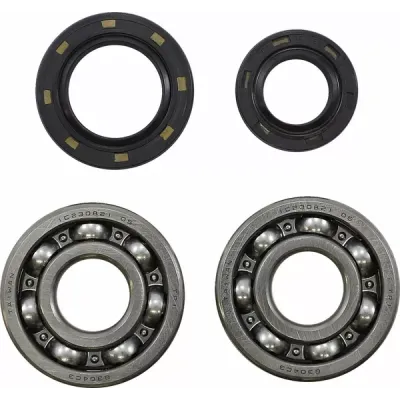 Main Bearing and Seal Kit
