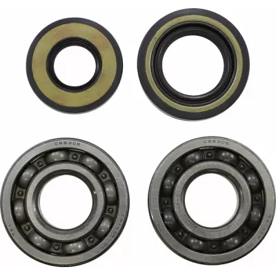 Main Bearing and Seal Kit