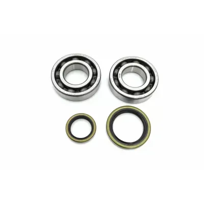 Crankshaft Bearing & Seal Kit