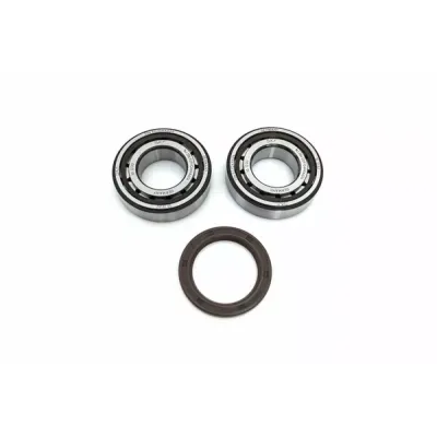 Crankshaft Bearing & Seal Kit