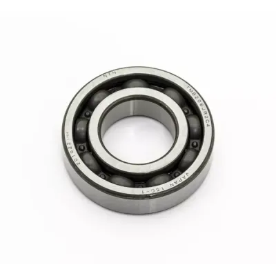 Main Bearing (Individual)