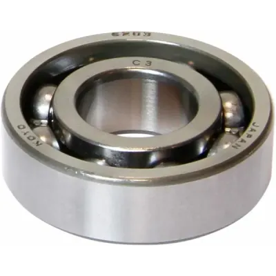 Rulment principal (individual)