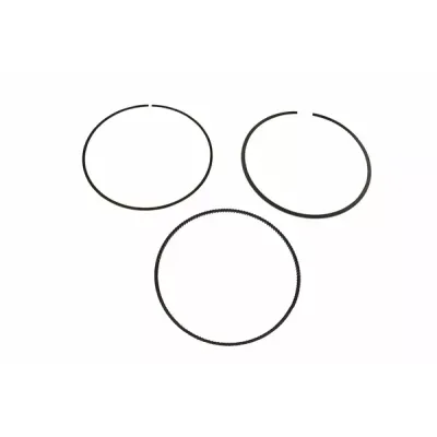 Rangă piston