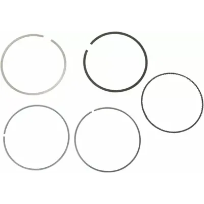 Set de inele de piston