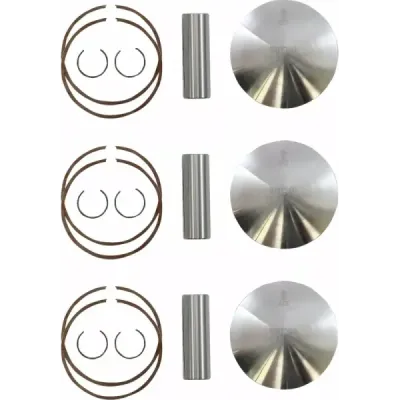 Piston Kit for 2 Stroke