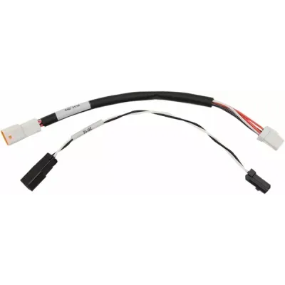 Extensie de Control Electronic al Acceleratorului