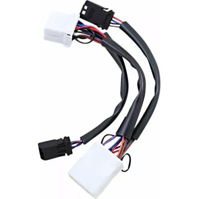 Wiring adapter for Dual Color Plasma Rods